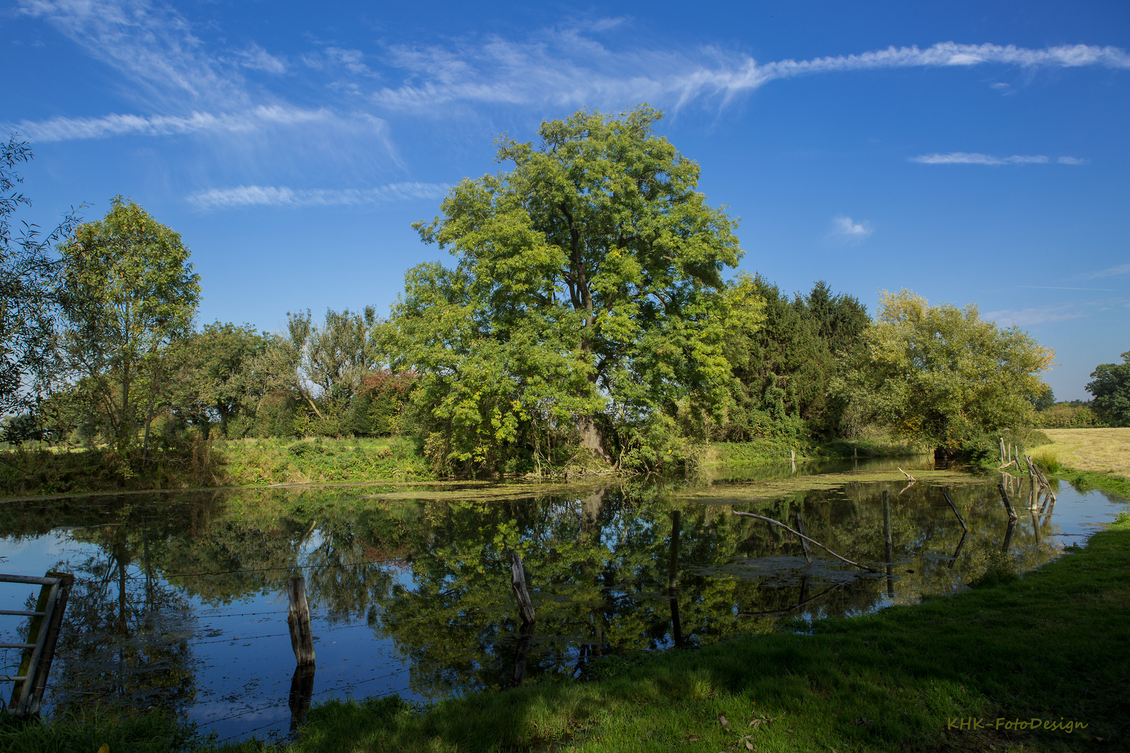 Niederrhein (3)