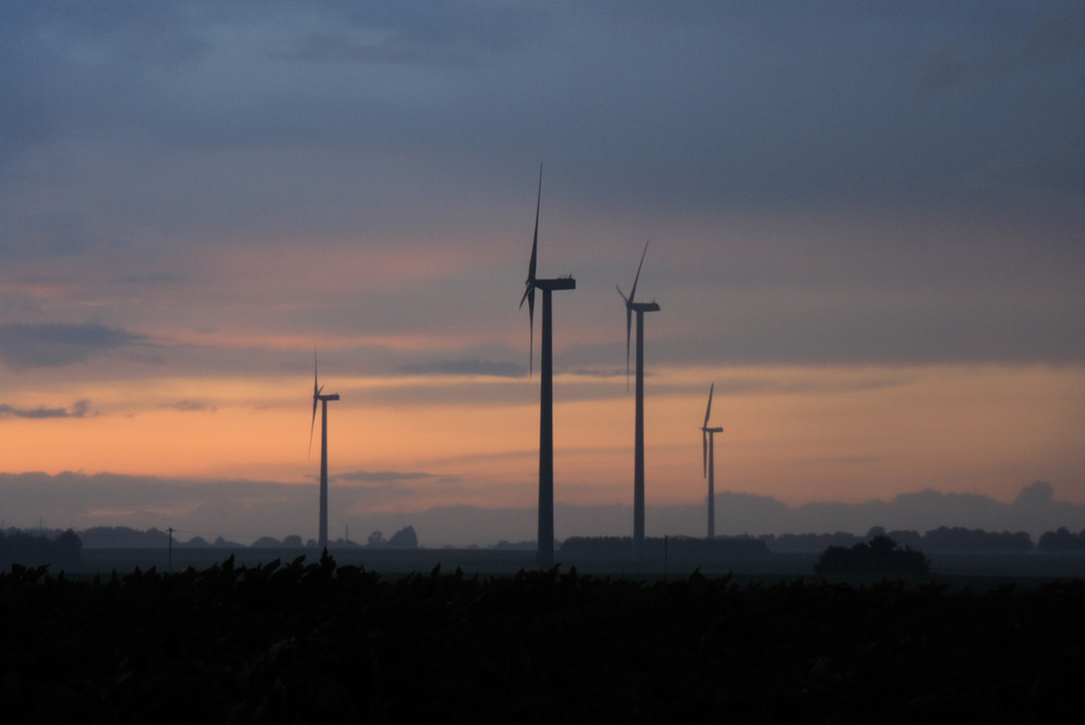 Niederrhein am Abend