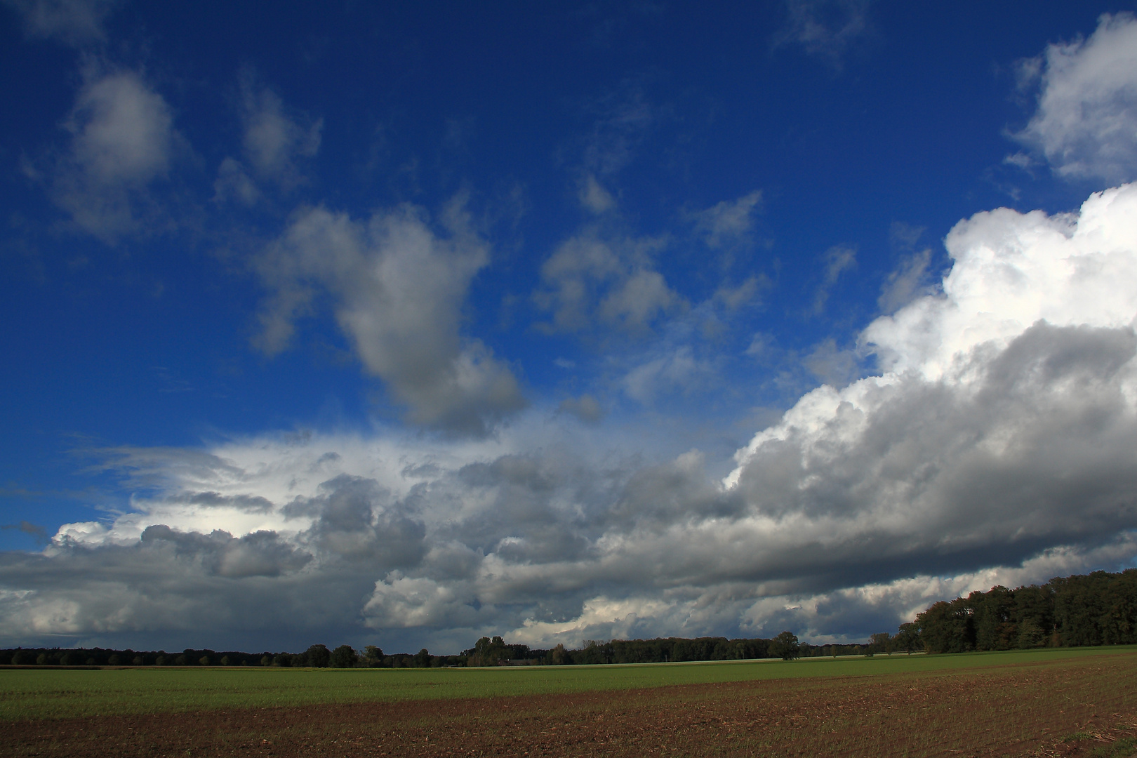 Niederrhein-Aussichten