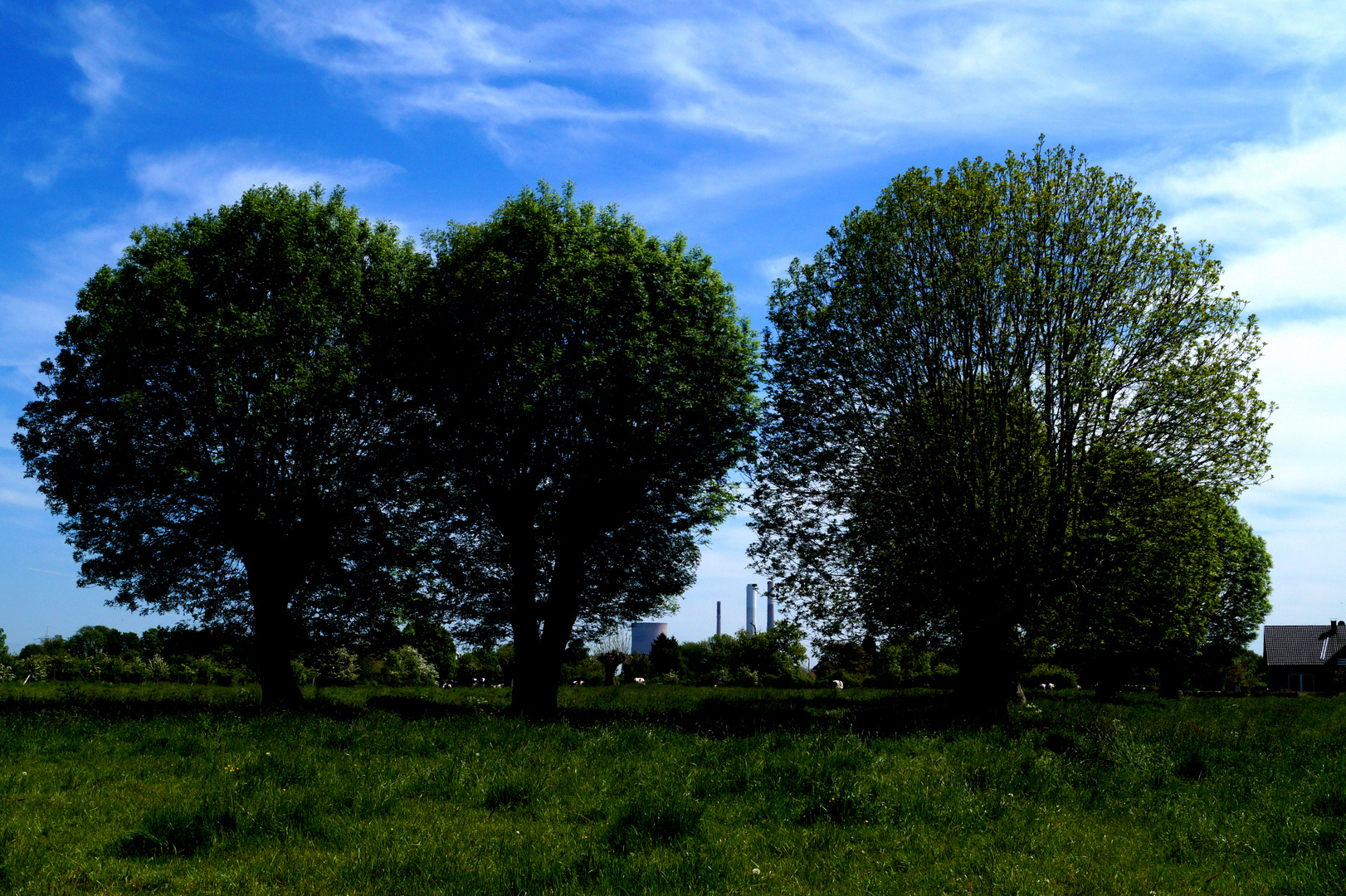 Niederrhein bei Voerde