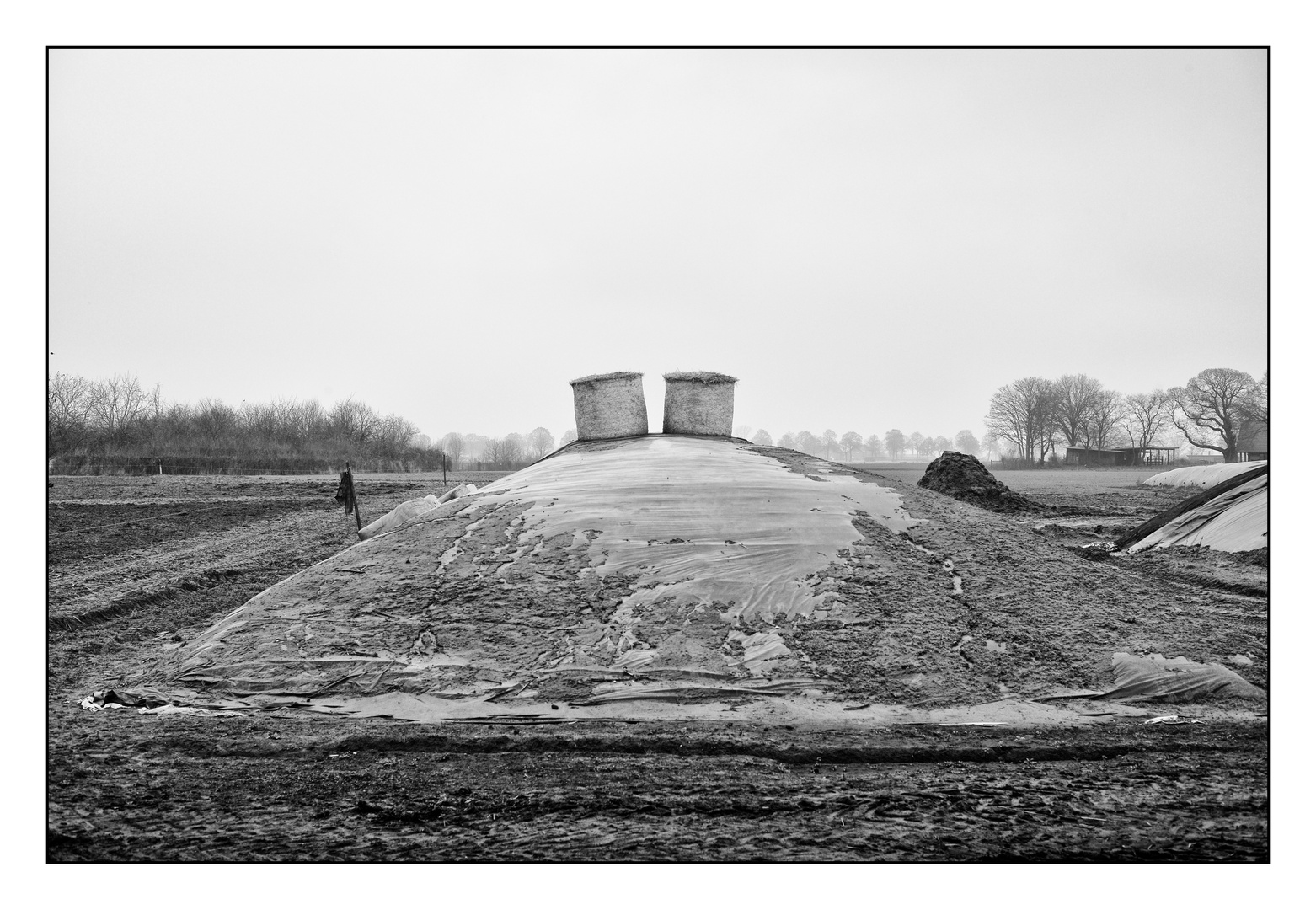 Niederrhein Blues II