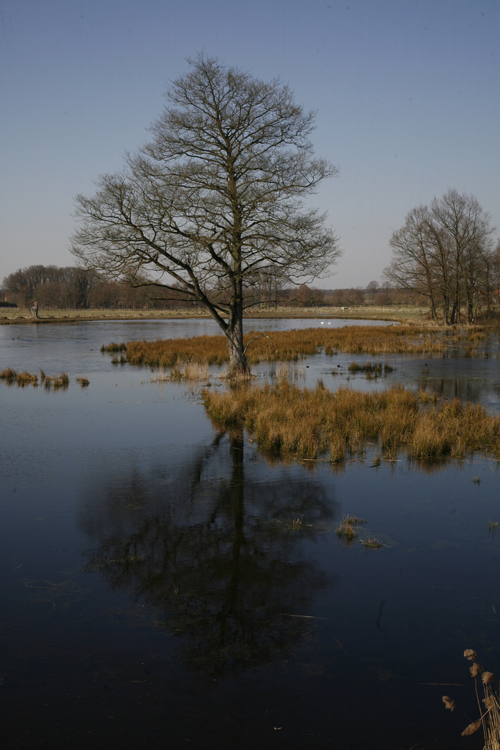 Niederrhein - De Witt See 