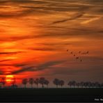 Niederrhein ..... ein Stück Heimat im Westen Deutschlands