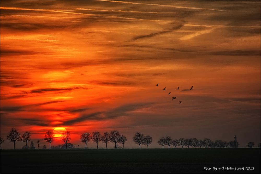 Niederrhein ..... ein Stück Heimat im Westen Deutschlands