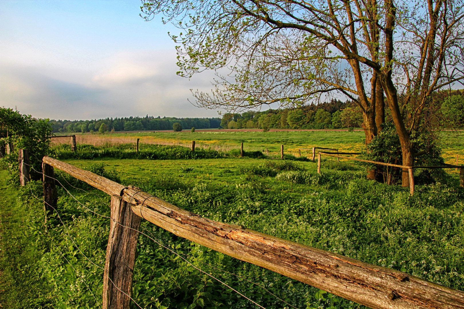 Niederrhein