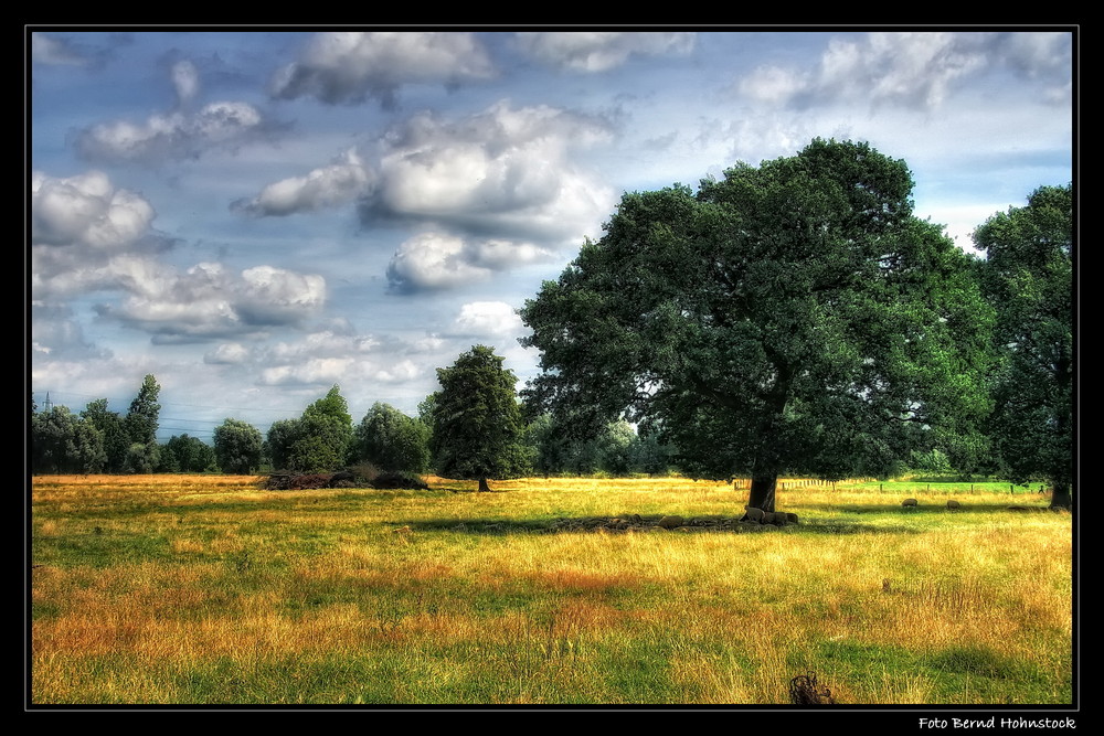 Niederrhein ....