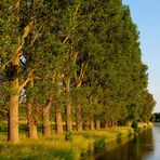 Niederrhein - Flusslandschaft im Abendlicht