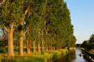 Niederrhein - Flusslandschaft im Abendlicht von Niederrhein Foto 