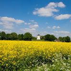 Niederrhein - Fotoworkshop Landschaftsfotografie