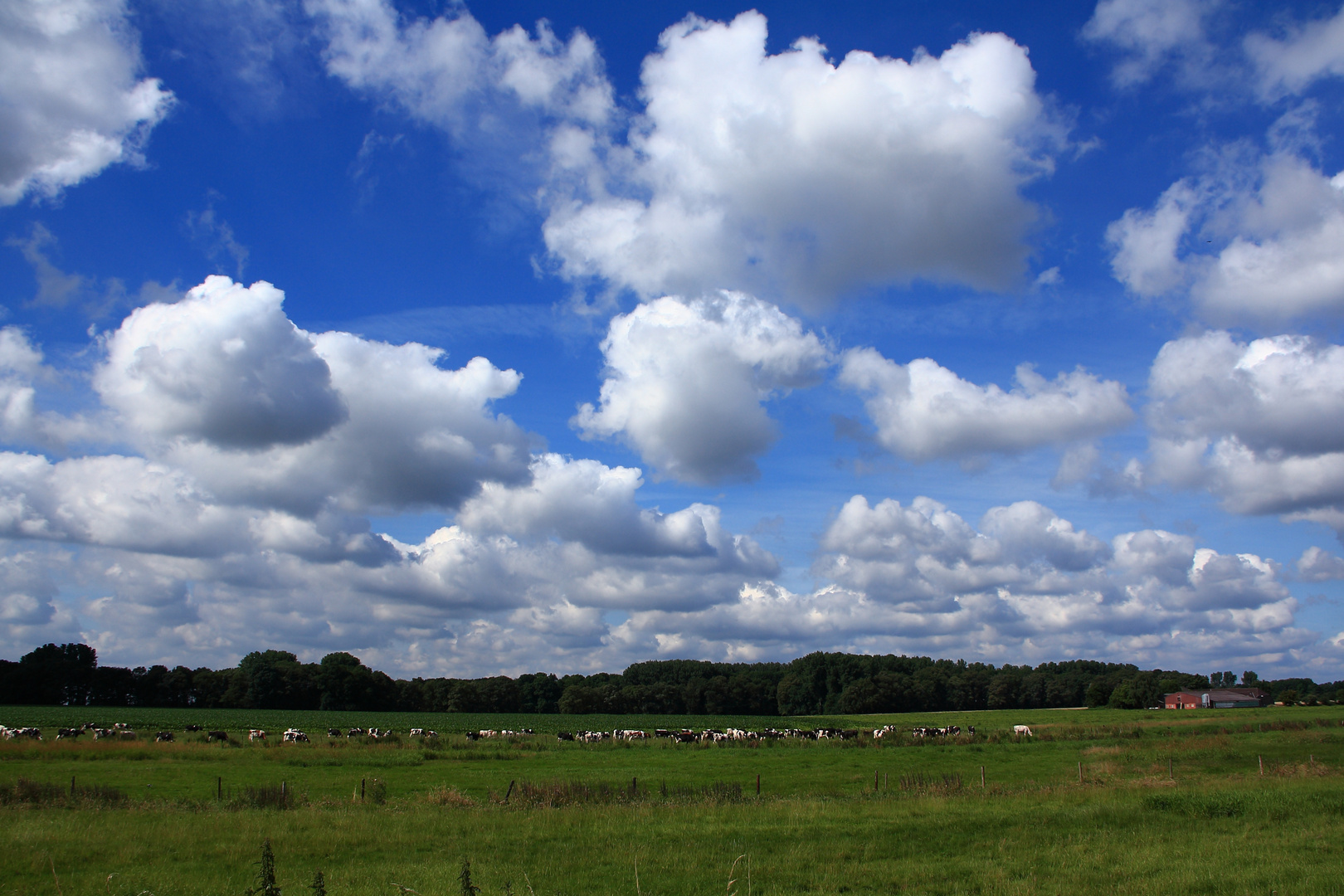 Niederrhein heute #4