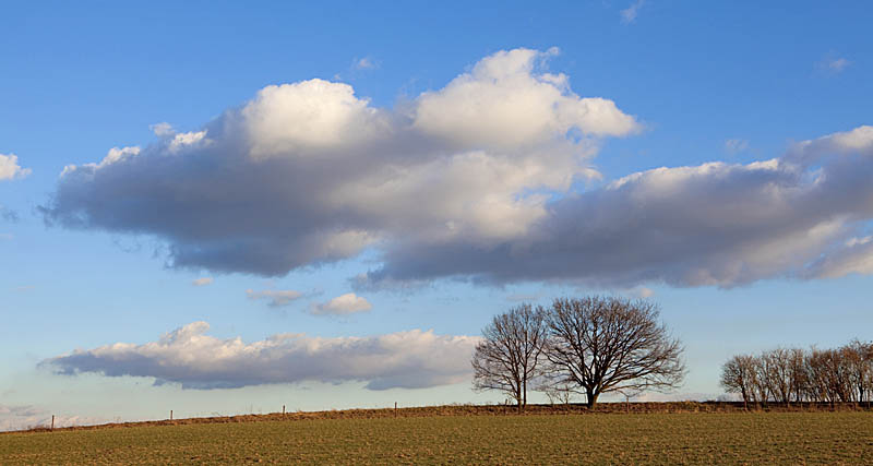 Niederrhein - Heute war wieder mal ein schöner Tag