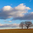 Niederrhein - Heute war wieder mal ein schöner Tag