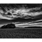 Niederrhein im Frühling