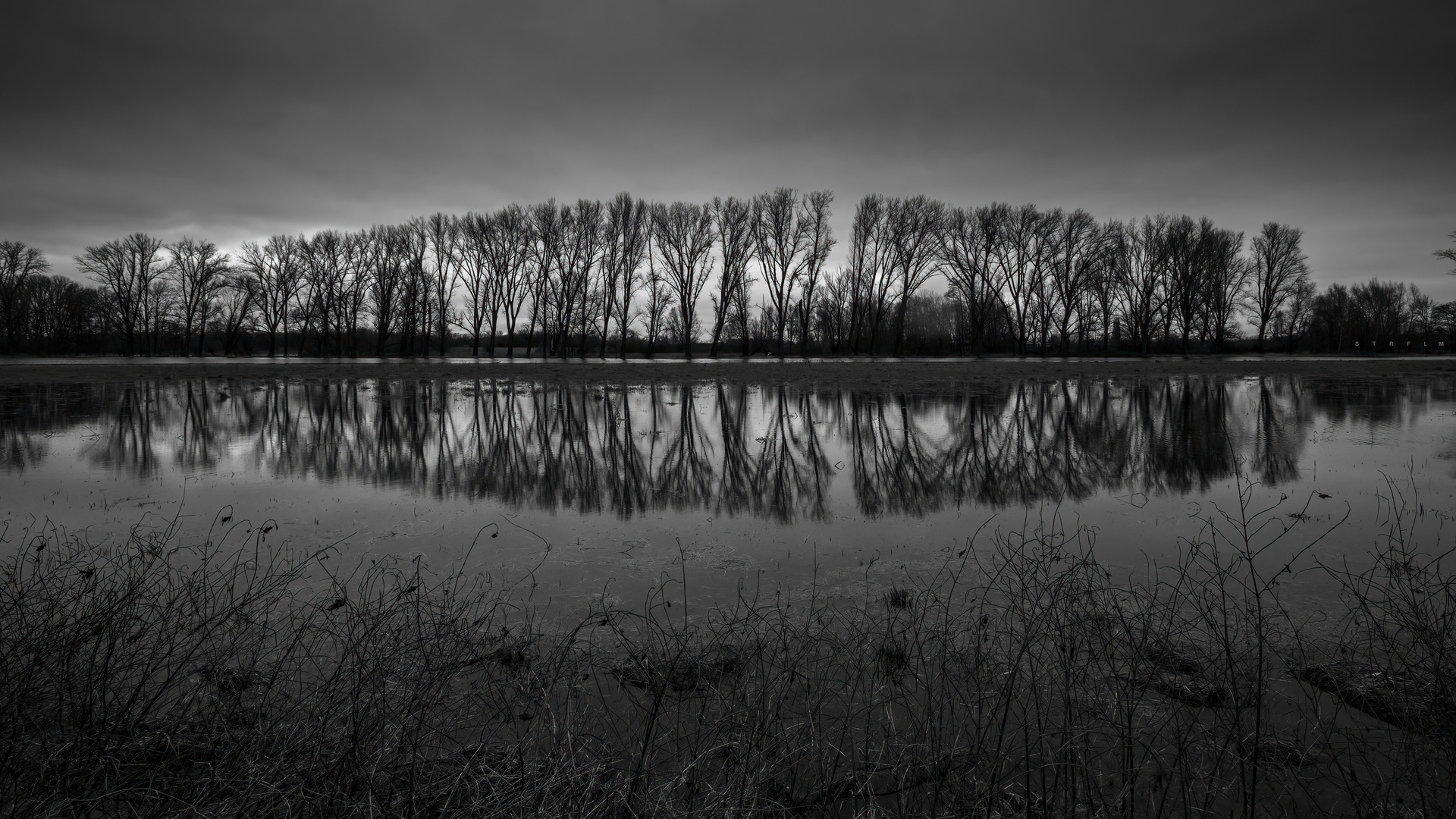 Niederrhein im Hochwasser