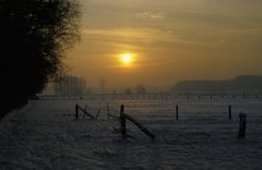 Niederrhein im Winter