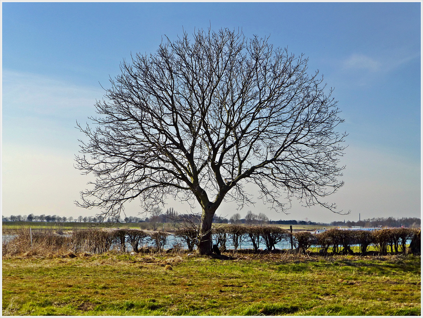 Niederrhein Impression