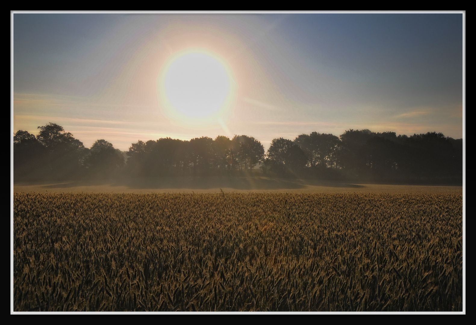 Niederrhein-Impressionen: Herbst-Morgen