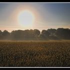 Niederrhein-Impressionen: Herbst-Morgen