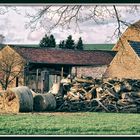 Niederrhein-Impressionen: Holz vor der Hütte