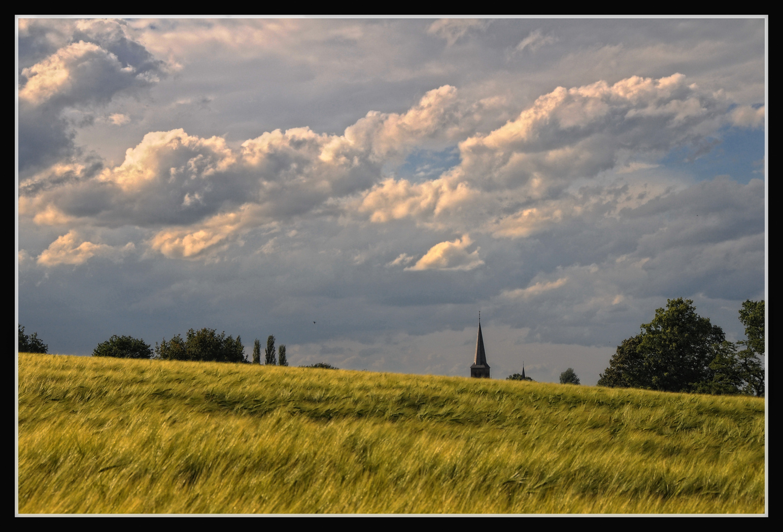 Niederrhein-Impressionen III