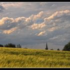 Niederrhein-Impressionen III