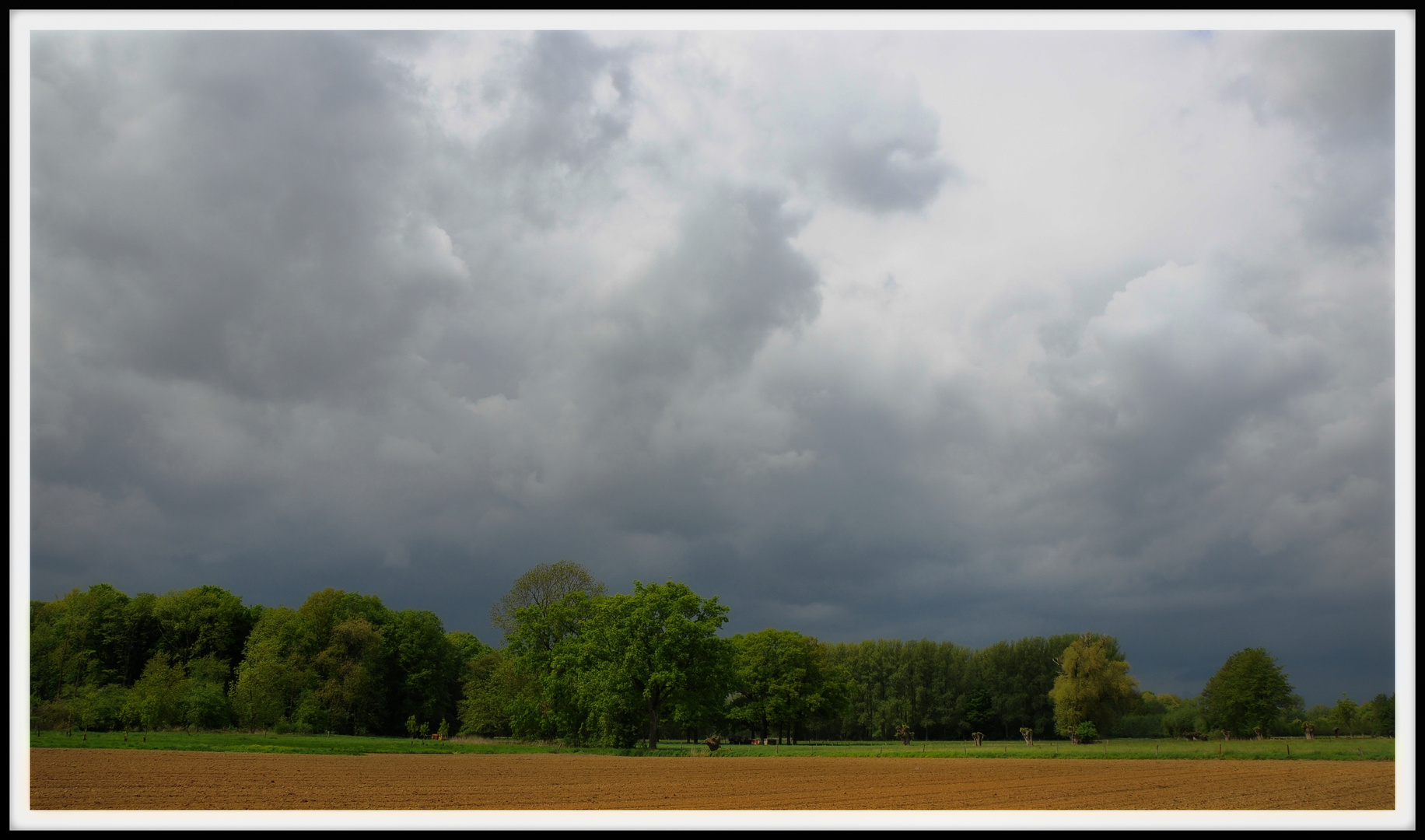 Niederrhein-Impressionen - Vor dem Gewitter