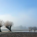 Niederrhein Landschaft - Tagesanbruch auf der Bislicher Insel