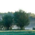 Niederrhein - Landschaftsfoto | Morgenspaziergang im Frühnebel