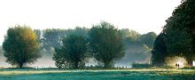 Niederrhein - Landschaftsfoto | Morgenspaziergang im Frühnebel von Niederrhein Foto 