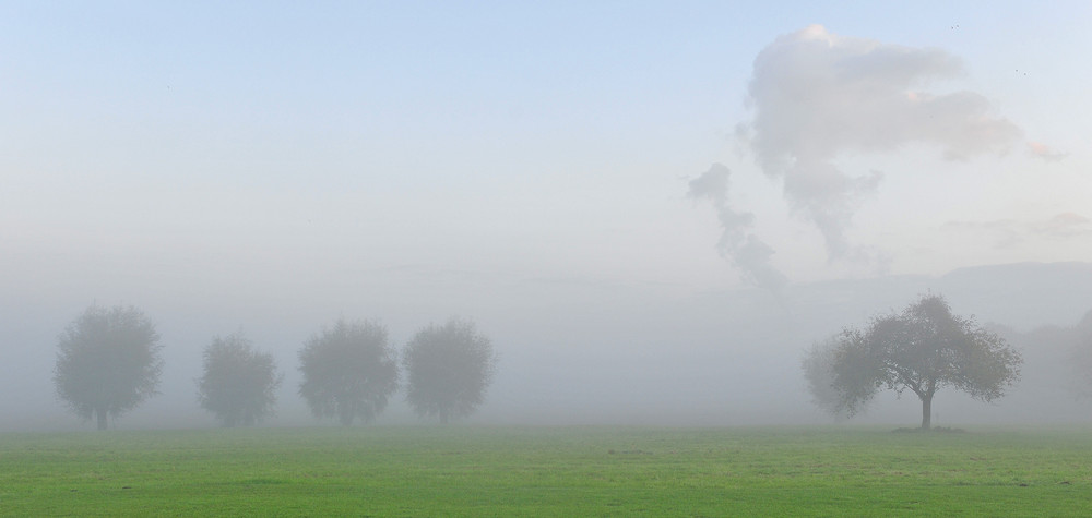 Niederrhein normal