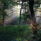 Niederrhein Sonntag Morgen