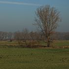 Niederrhein-Suchbild