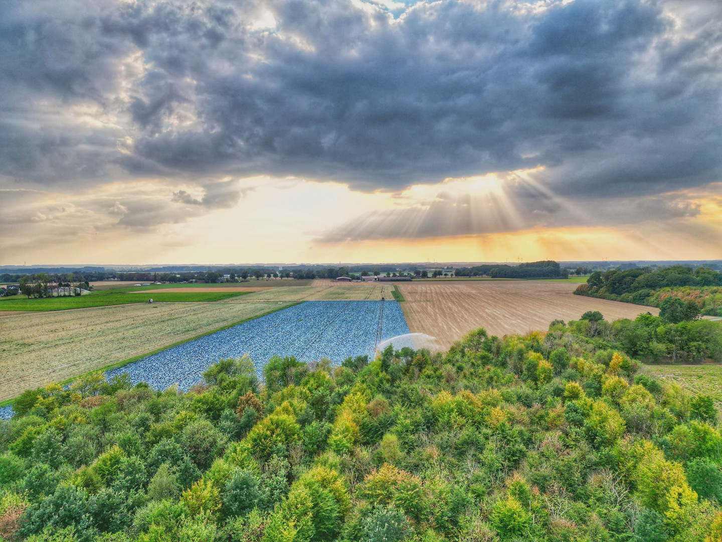 Niederrhein, Tönisvorst 