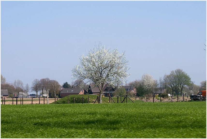 Niederrhein-typisch