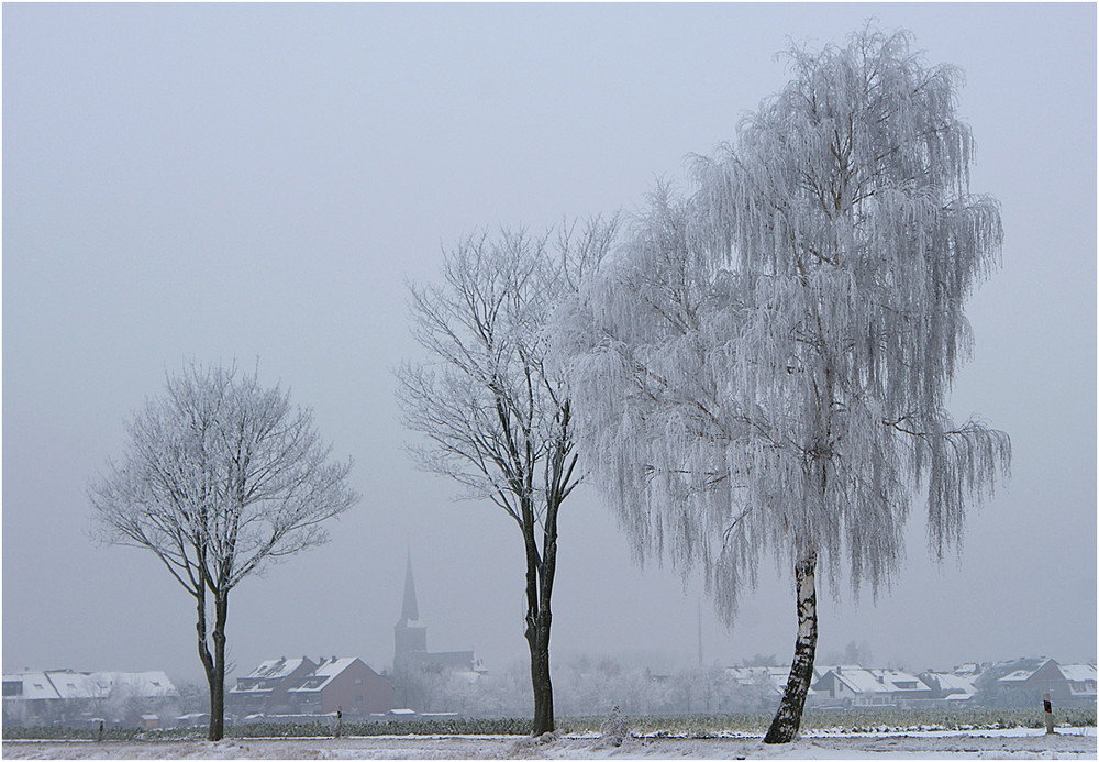 Niederrhein-Winter 08/09