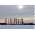 Niederrhein - Winter