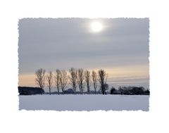 Niederrhein - Winter