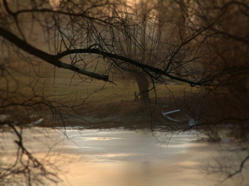 niederrhein-winterimpression