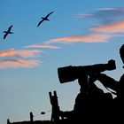 #niederrheinfoto | Helgoland Fotoworkshop Tier- und Naturfotografie - Abenddämmerung am Lummenfelsen