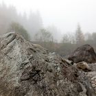 #niederrheinfoto | Herbstliche Impression - Fotoworkshop Oberbayern - Allgäuer Alpen 