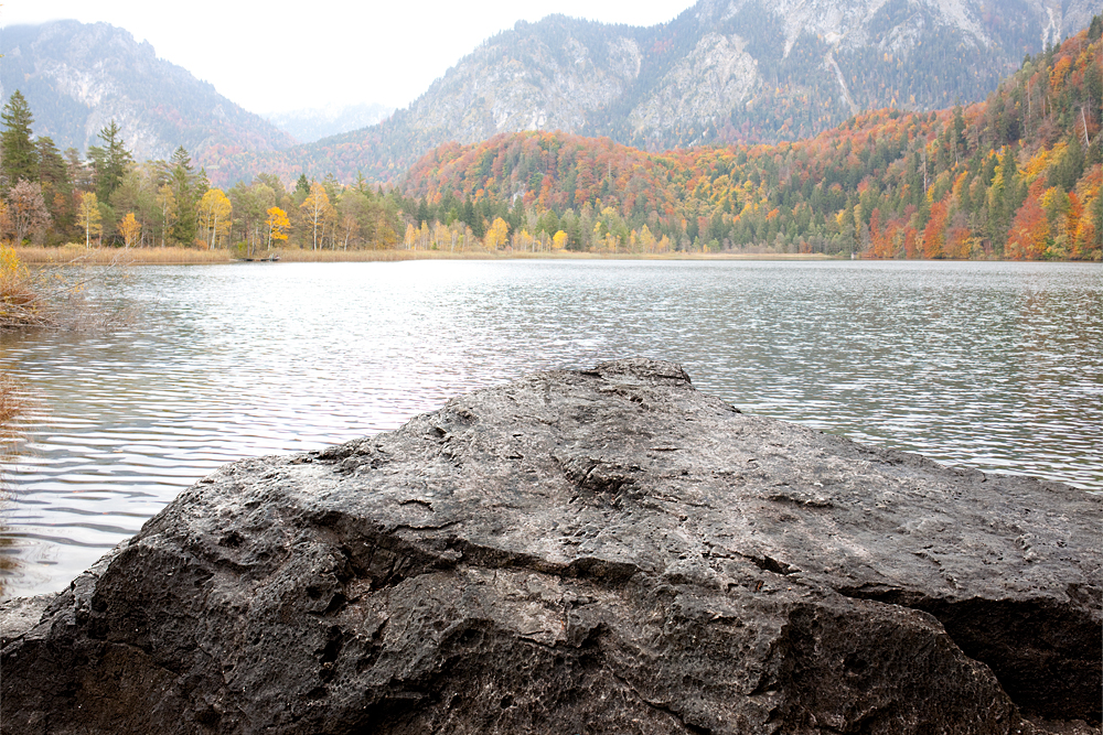 #niederrheinfoto | Herbstliche Impression - Fotoworkshop Oberbayern - Allgäuer Alpen