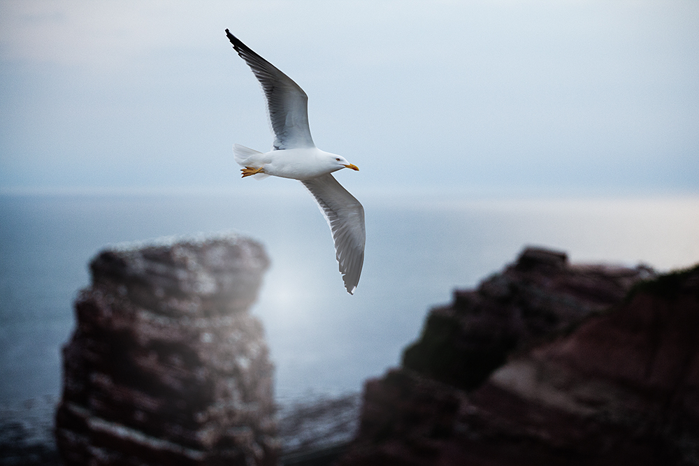 #niederrheinfoto | Nordseeinsel Helgoland -  Abendstimmung an der Steilküste