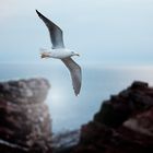 #niederrheinfoto | Nordseeinsel Helgoland -  Abendstimmung an der Steilküste