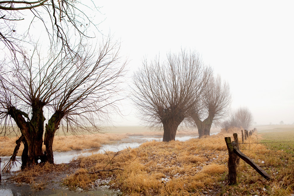 #niederrheinfoto #uweschmid | Landschaft am Niederrhein - Fotoworkshop - Naturfotografie 