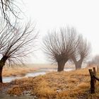 #niederrheinfoto #uweschmid | Landschaft am Niederrhein - Fotoworkshop - Naturfotografie 