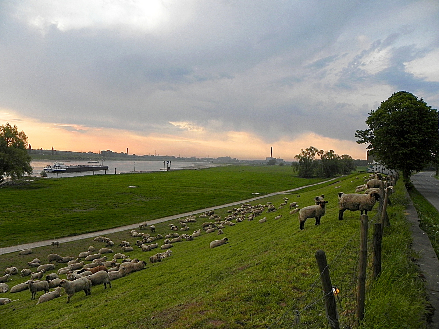 Niederrheinidylle im Ruhrgebiet