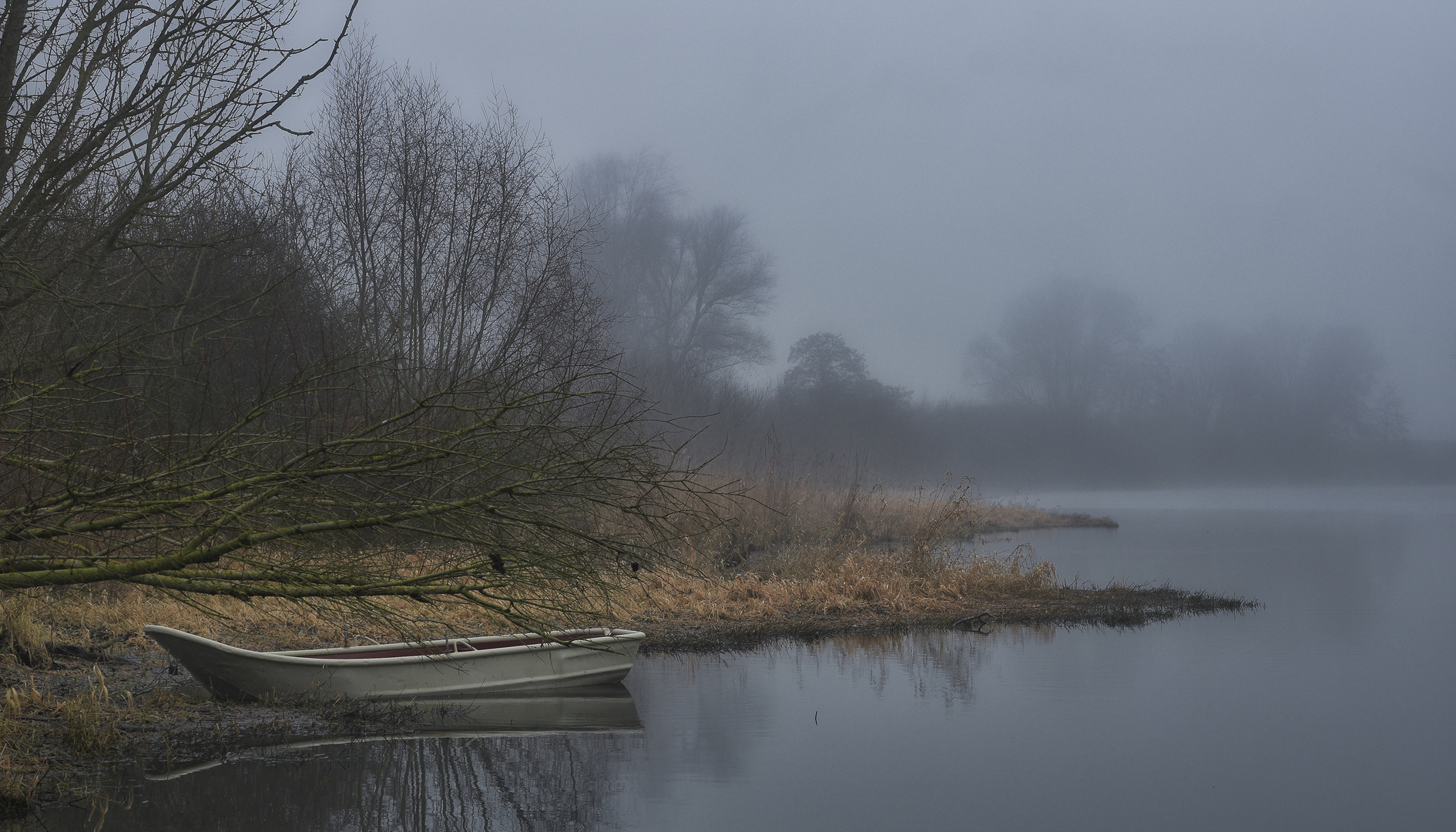 Niederrheinische Flusslandschaft