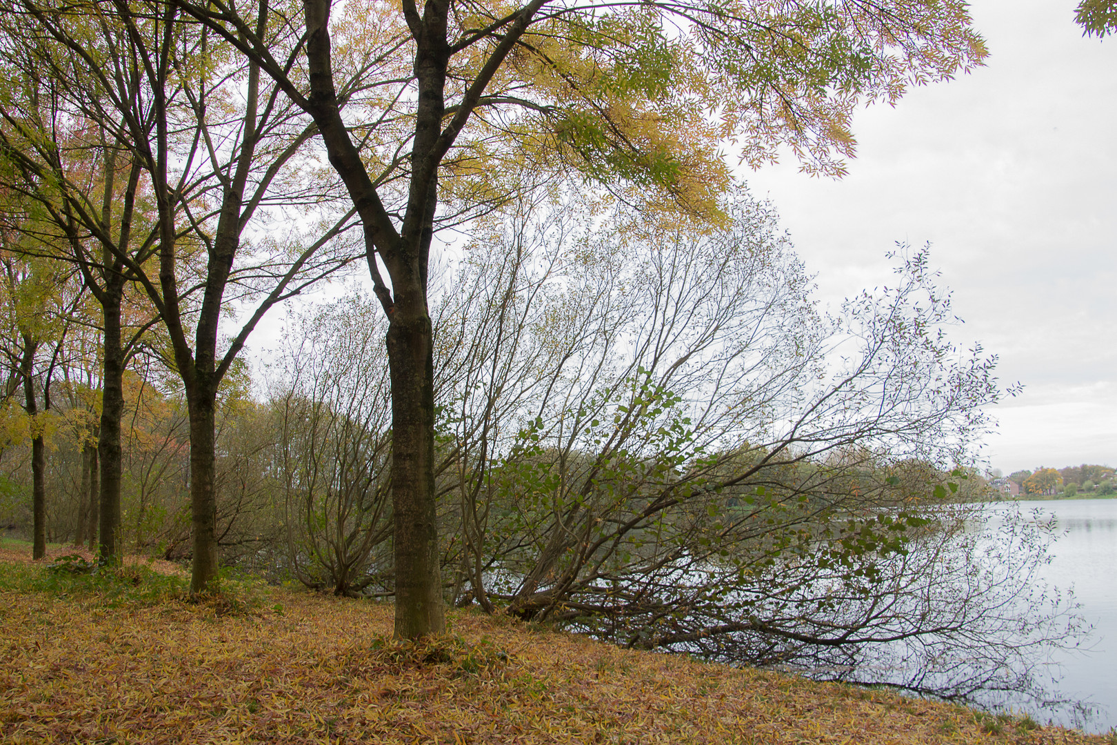 Niederrheinische Herbststimmung