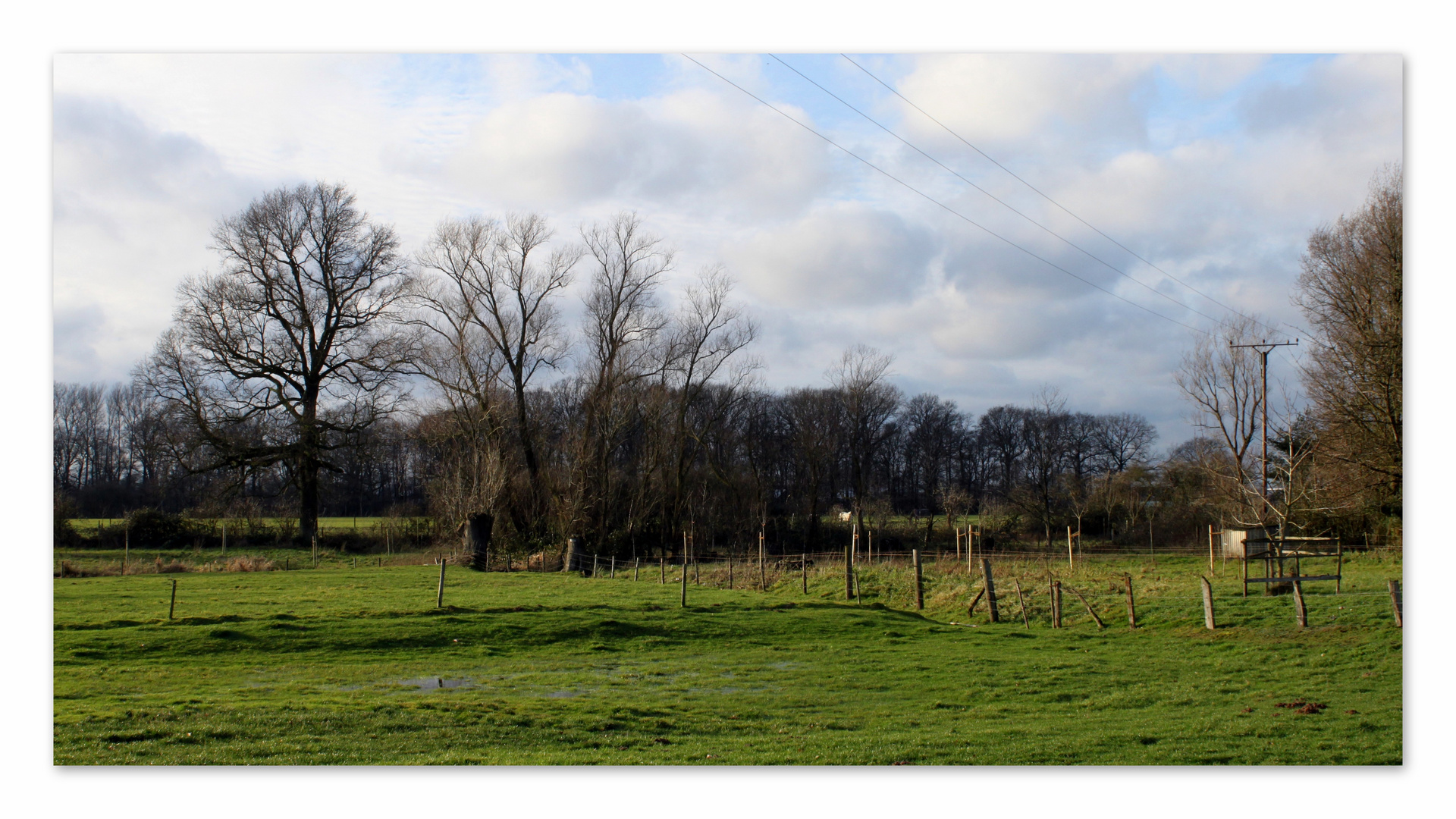 " Niederrheinische Impressionen "