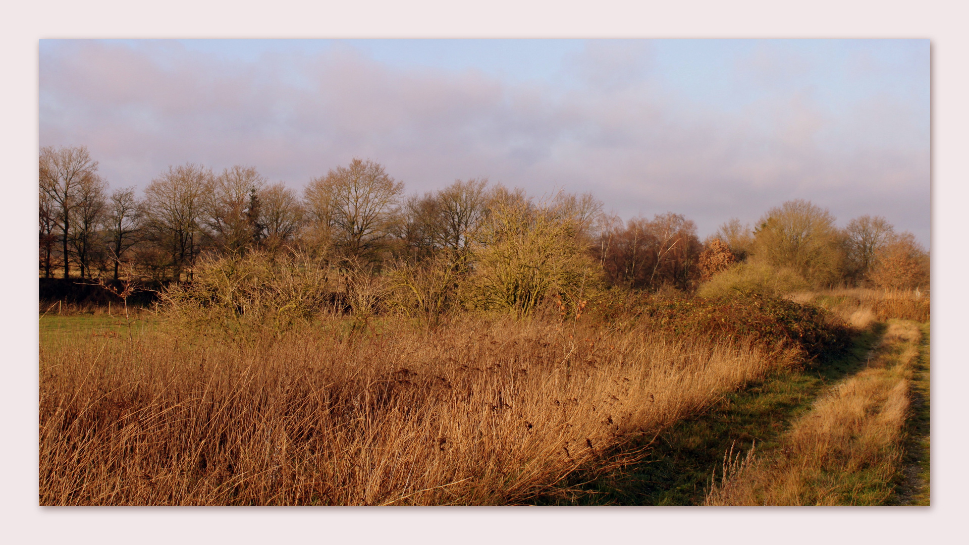 " Niederrheinische Impressionen "